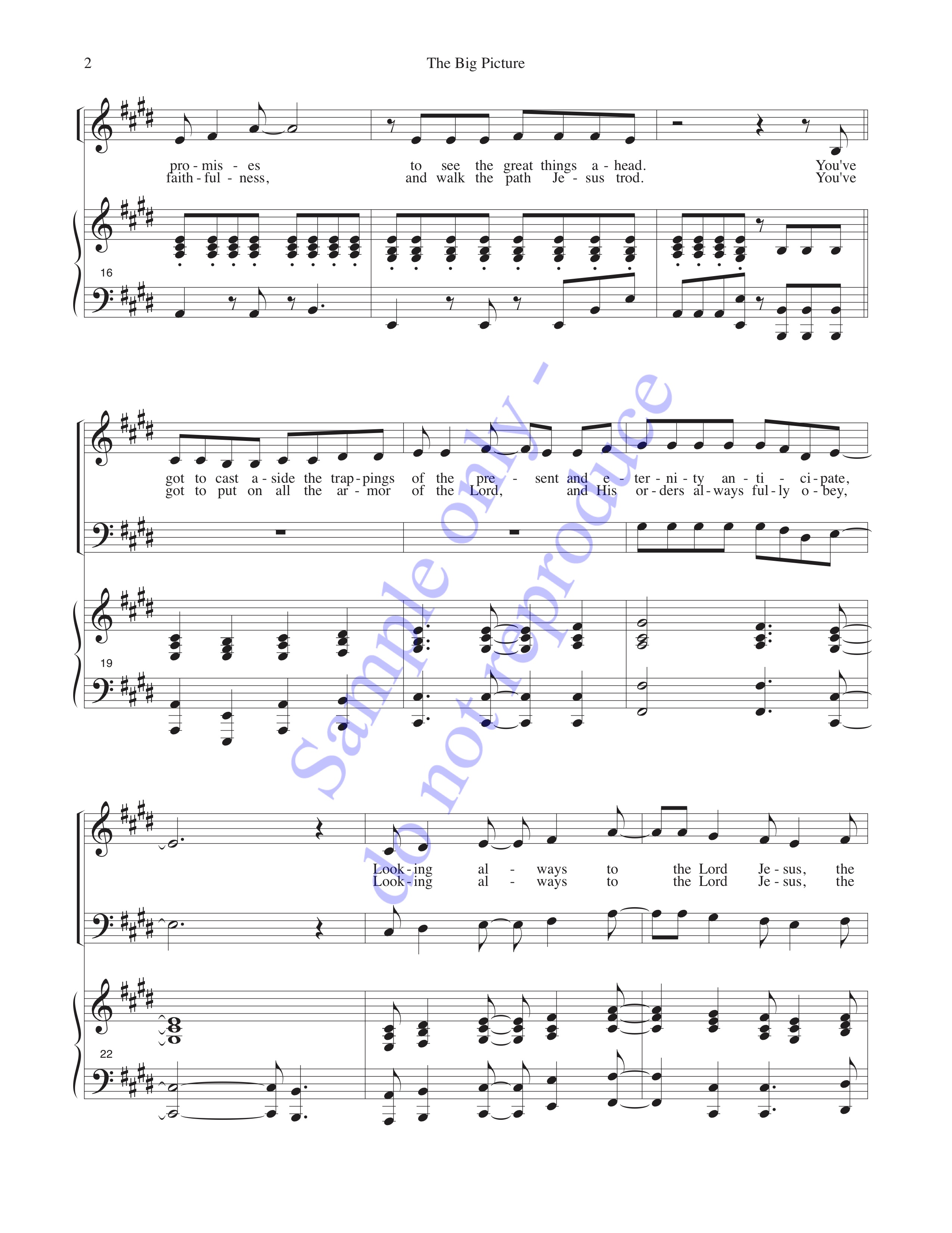 The Big Picture, page 2